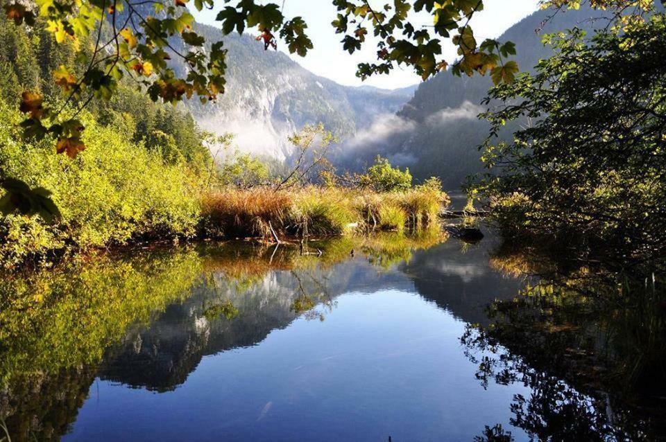 Greenheart Aussee Obersdorf Extérieur photo